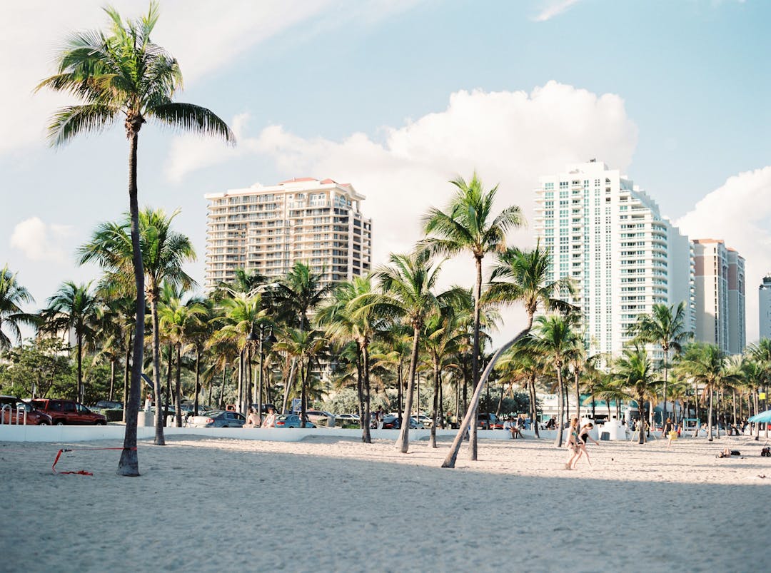 A sandy beach with palm trees and buildings in the background