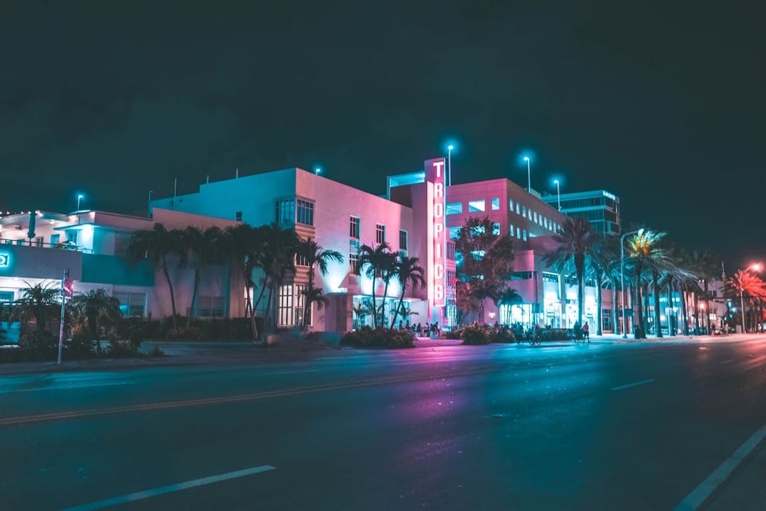 A city street at night with palm trees